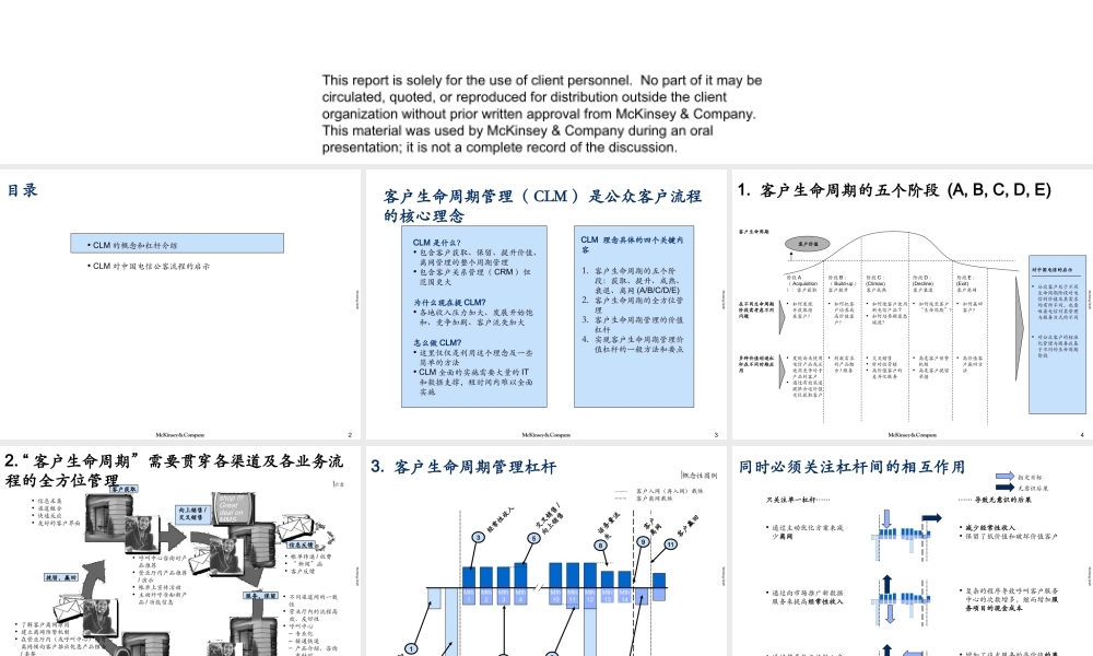 036麦肯锡--中国电信-客户生命周期管理（培训）.ppt