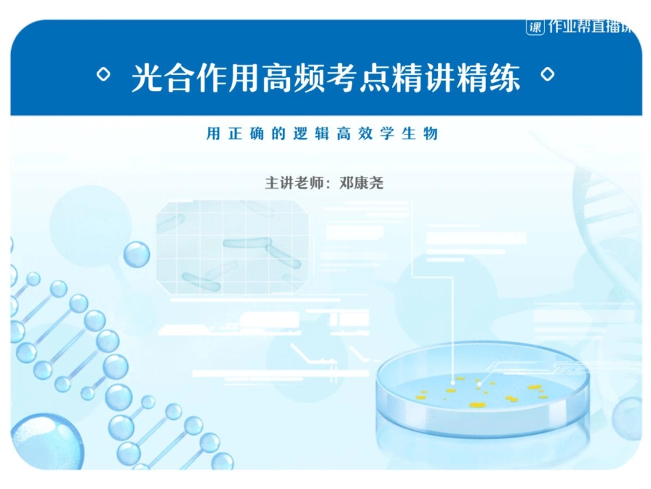 11. 光合作用高频考点精讲精练-课中笔记.pdf_第1页