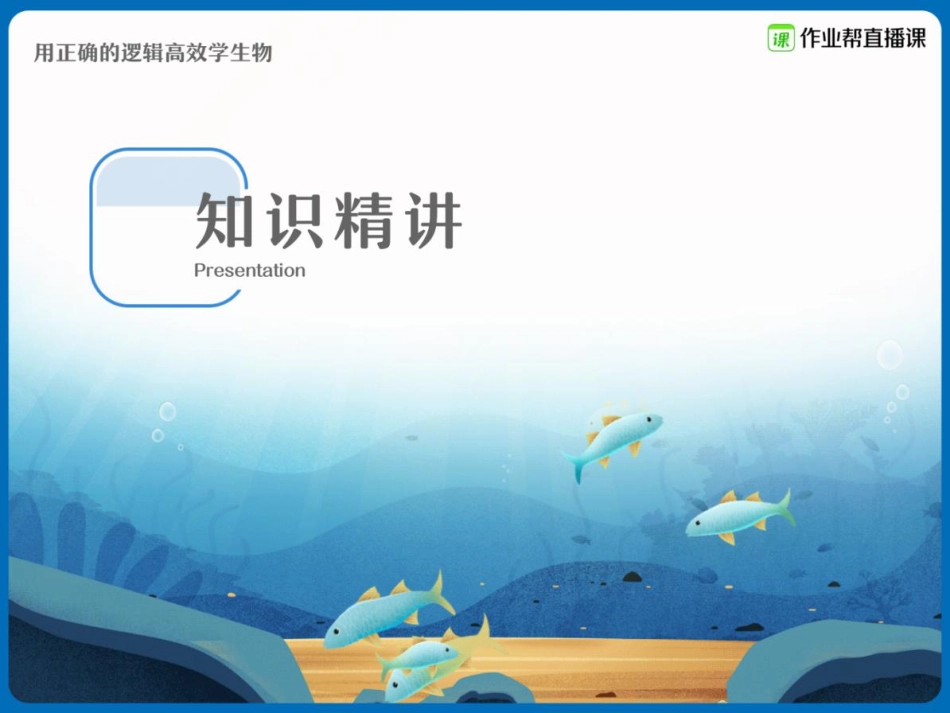 11. 光合作用高频考点精讲精练-课中笔记.pdf_第2页