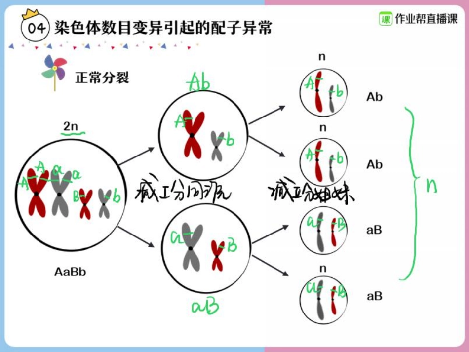16.【赠】重点知识总结与题型演练3(1).pdf_第2页
