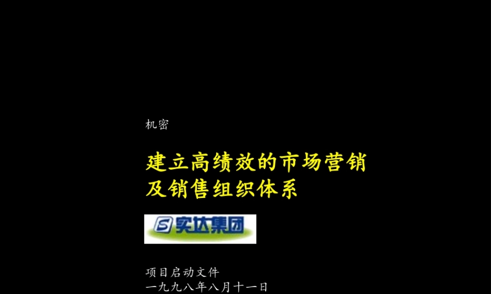 097麦肯锡—实达项目启动报告.ppt