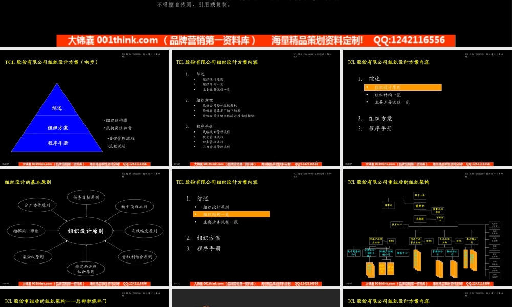 403 麦肯锡-TCL股份组织结构设计方案.ppt