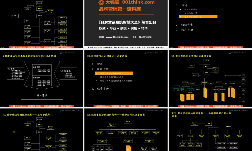 403 麦肯锡-TCL股份组织结构设计方案.ppt