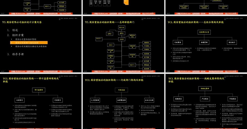 403 麦肯锡-TCL股份组织结构设计方案.ppt