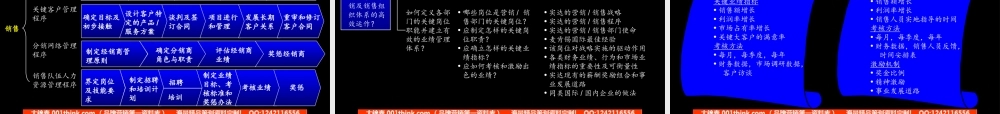 097麦肯锡_实达项目启动报告.ppt