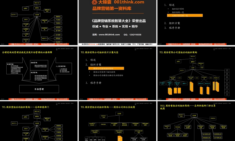 403 麦肯锡-TCL股份组织结构设计方案(2).ppt