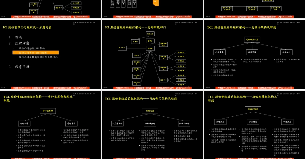 403 麦肯锡-TCL股份组织结构设计方案(2).ppt