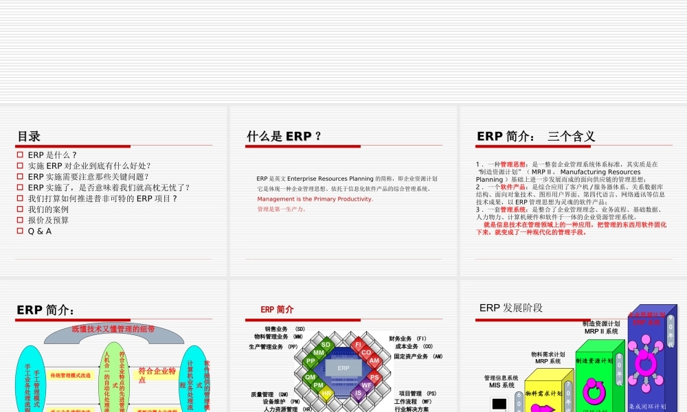 39.企业ERP实施必要性&如何实施ERP介绍(1).ppt