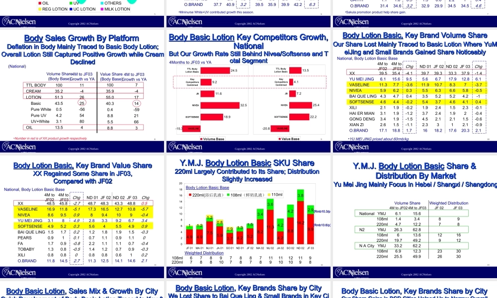 190AC尼尔森--2003润肤品市场.ppt