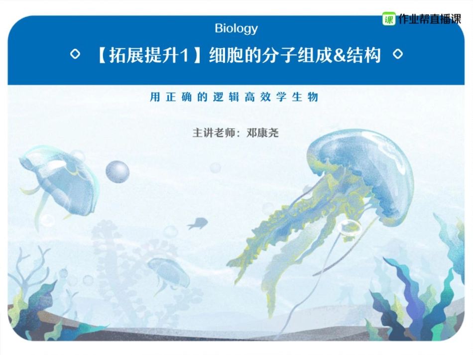 5.5【赠】重点知识总结与题型演练1.pdf_第1页