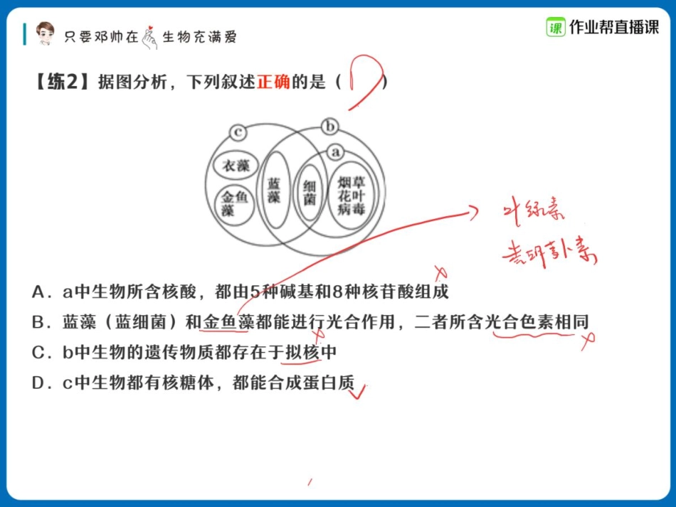 5.5【赠】重点知识总结与题型演练1.pdf_第3页