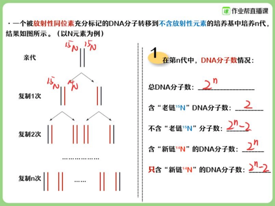 18.【赠】重点知识总结与题型演练4.pdf_第2页