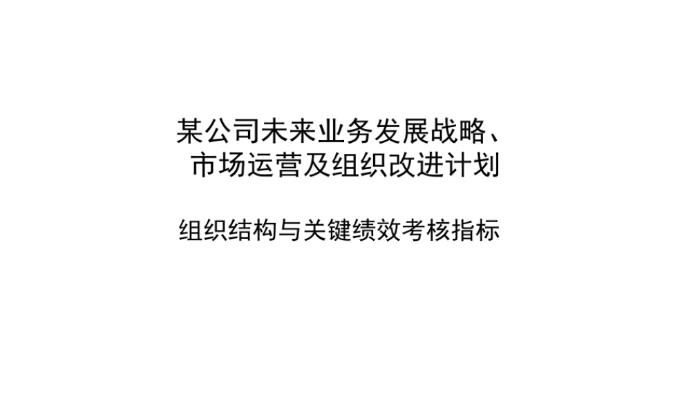 177波士顿咨询_某大型集团组织结构于与关键绩效考核指标问题及设计.ppt