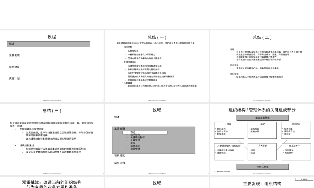 177波士顿咨询_某大型集团组织结构于与关键绩效考核指标问题及设计.ppt