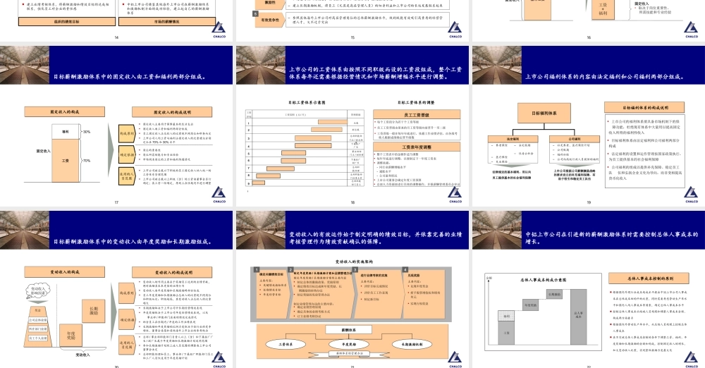 185埃森哲－关于中国铝业上市公司总体薪酬激励体系设计的初步建议.ppt