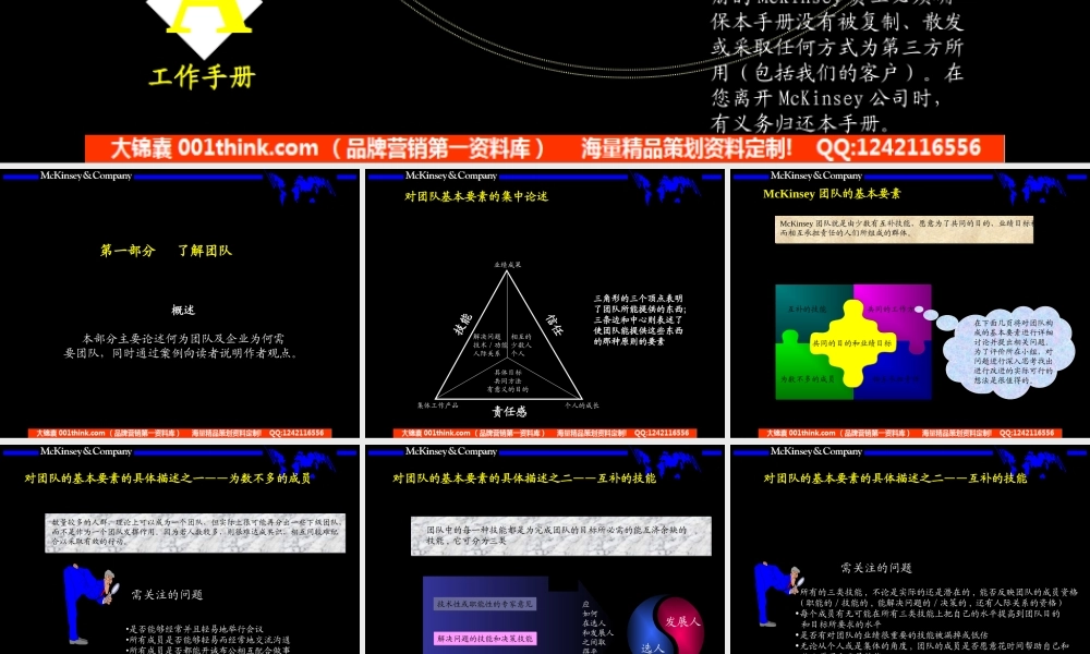 010麦肯锡_团队的智慧内部培训手册.ppt