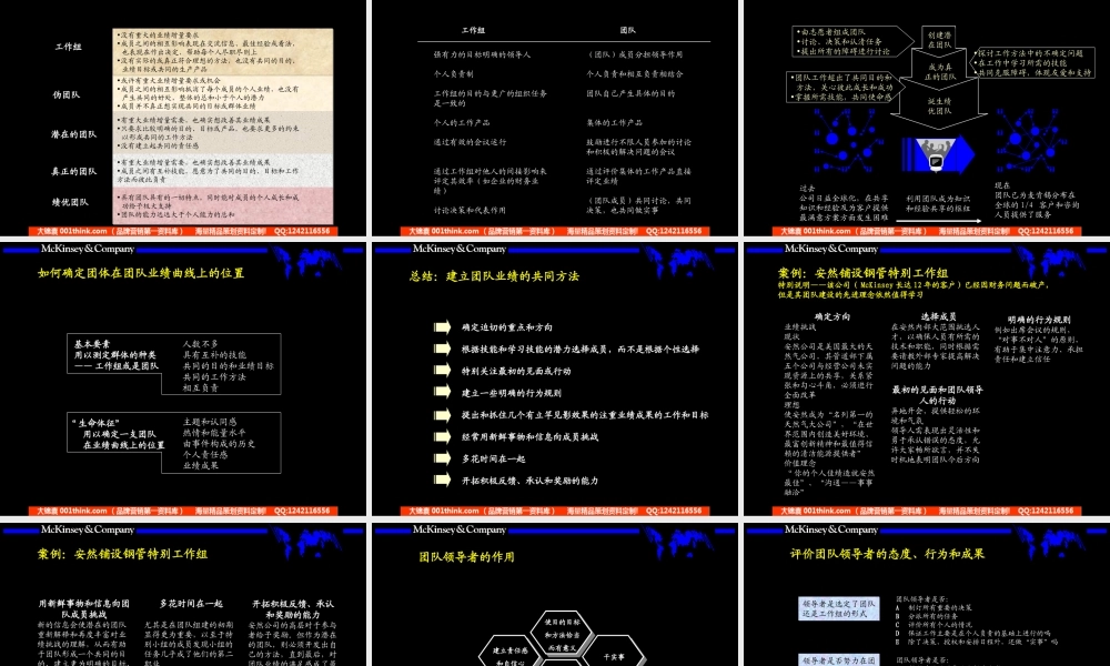010麦肯锡_团队的智慧内部培训手册.ppt