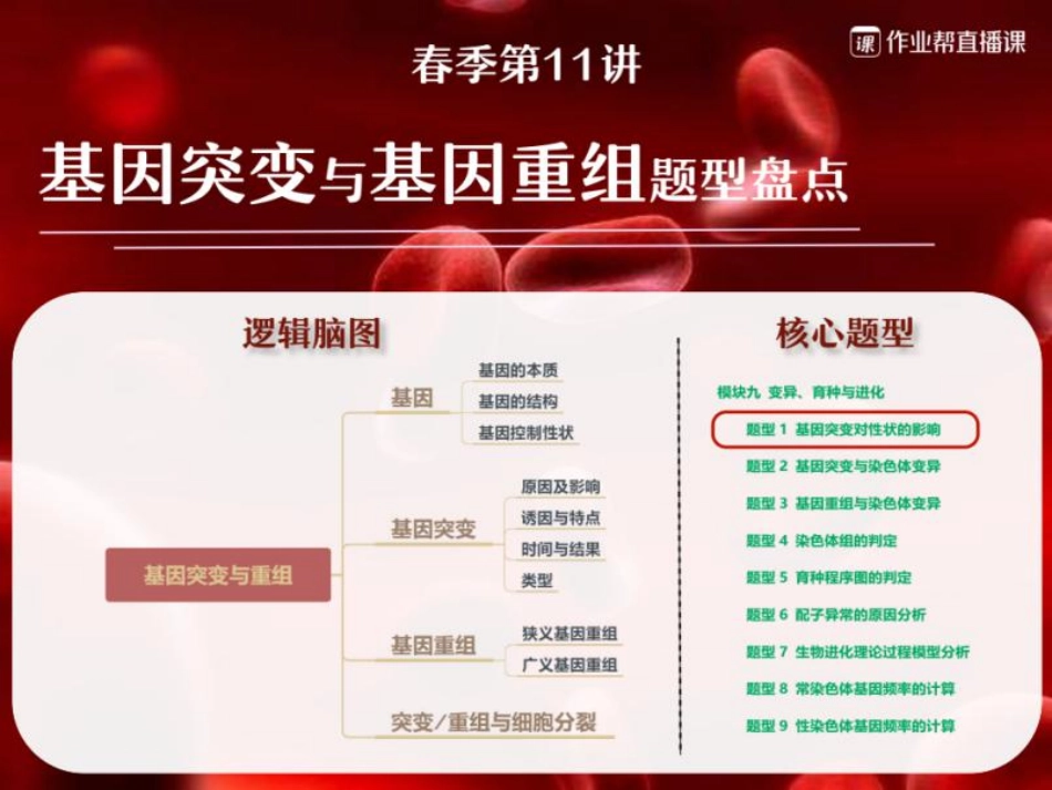 14.基因突变与基因重组盘点.pdf_第1页
