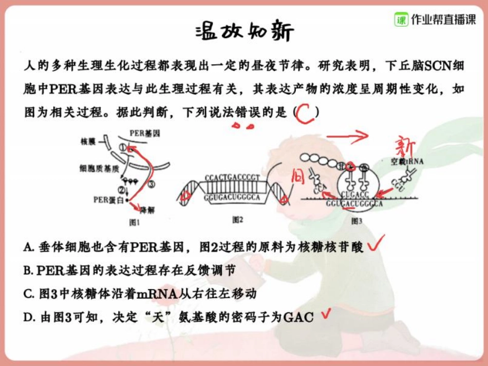 14.基因突变与基因重组盘点.pdf_第3页