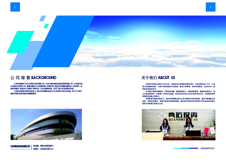 5340典石宣传册投资公司.pdf_第3页