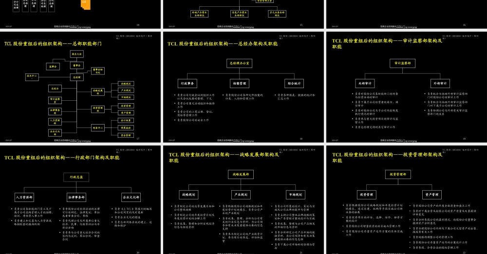 403 麦肯锡-TCL股份组织结构设计方案(1).ppt