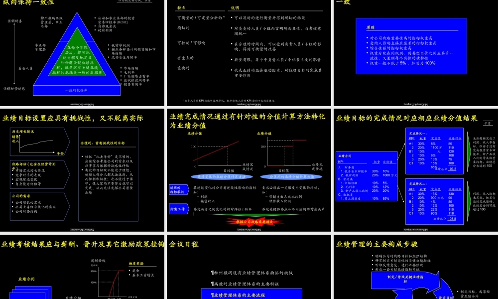 423 麦肯锡—神州数码建立一流的经营业绩管理体系(1).ppt