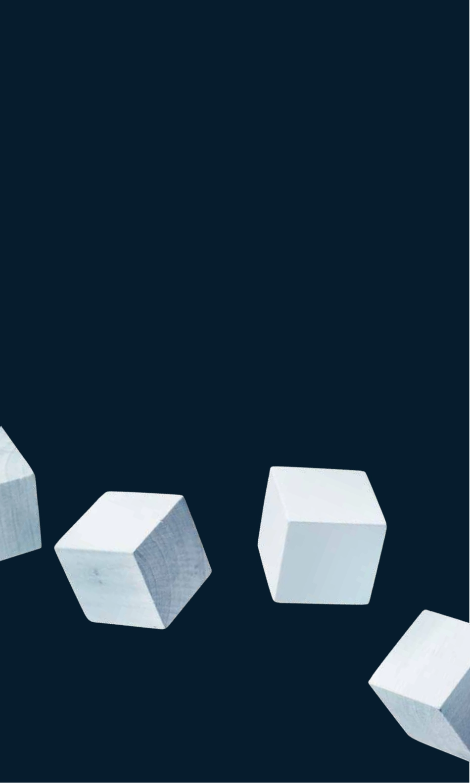 20191128-麦肯锡咨询-中国行业CEO季刊：点数成金 规模化大数据应用-领军同行 布局未来（精简版）.pdf_第2页