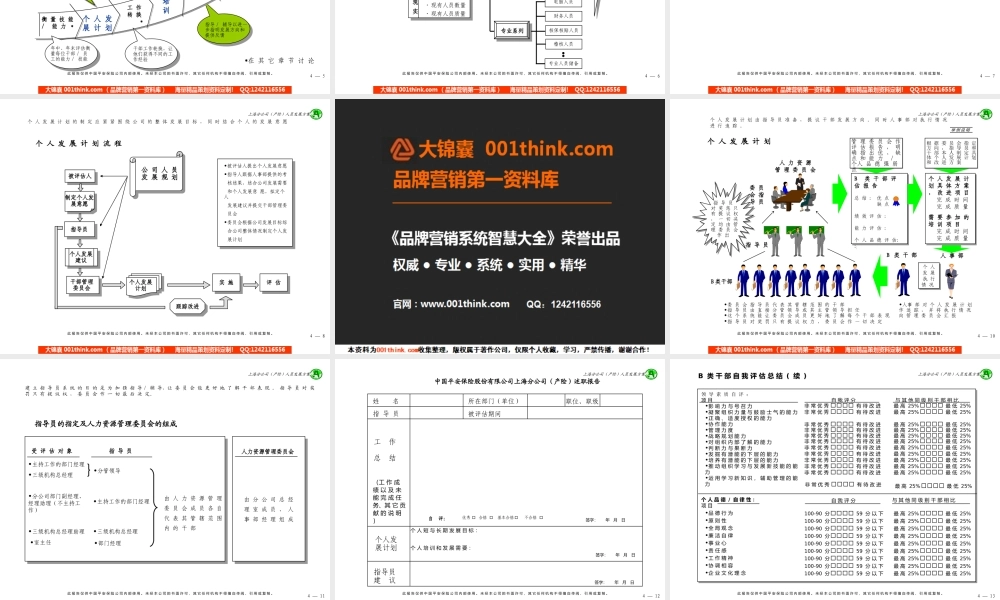 420 麦肯锡—平安员工发展咨询报告(1).ppt