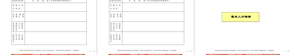 420 麦肯锡—平安员工发展咨询报告(1).ppt