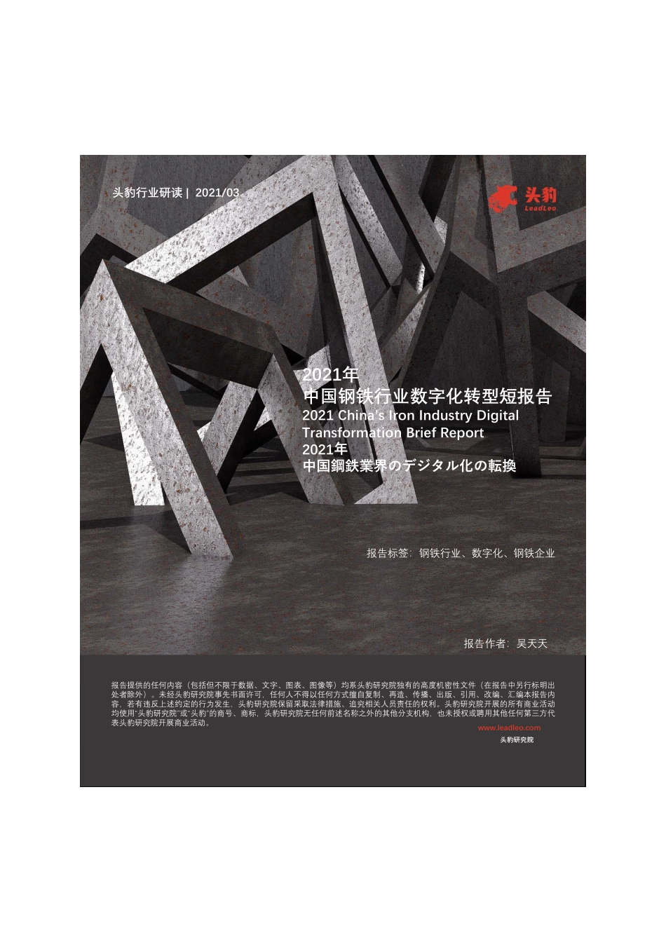 2021年中国钢铁行业数字化转型短报告(1).pdf_第1页