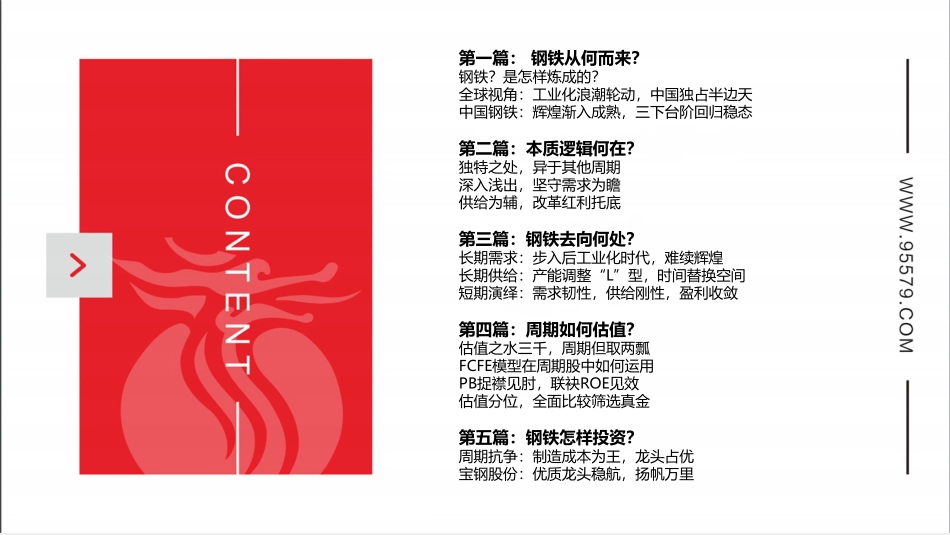 长江钢铁：大道至简从资本视角看钢铁.pdf_第2页