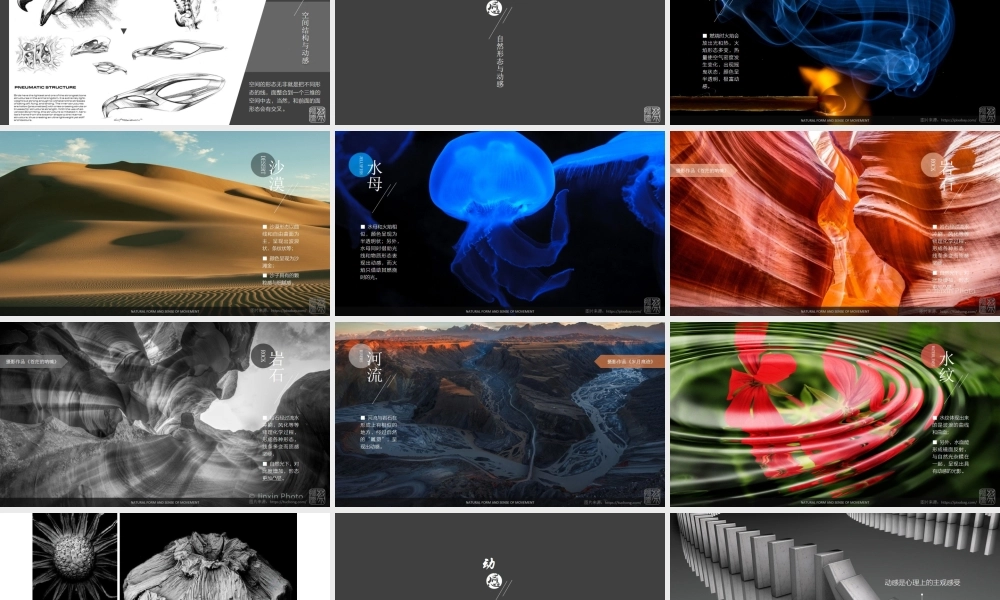 【@PPT精选 推荐教程】PPT动画动感造型理论PPT.pptx