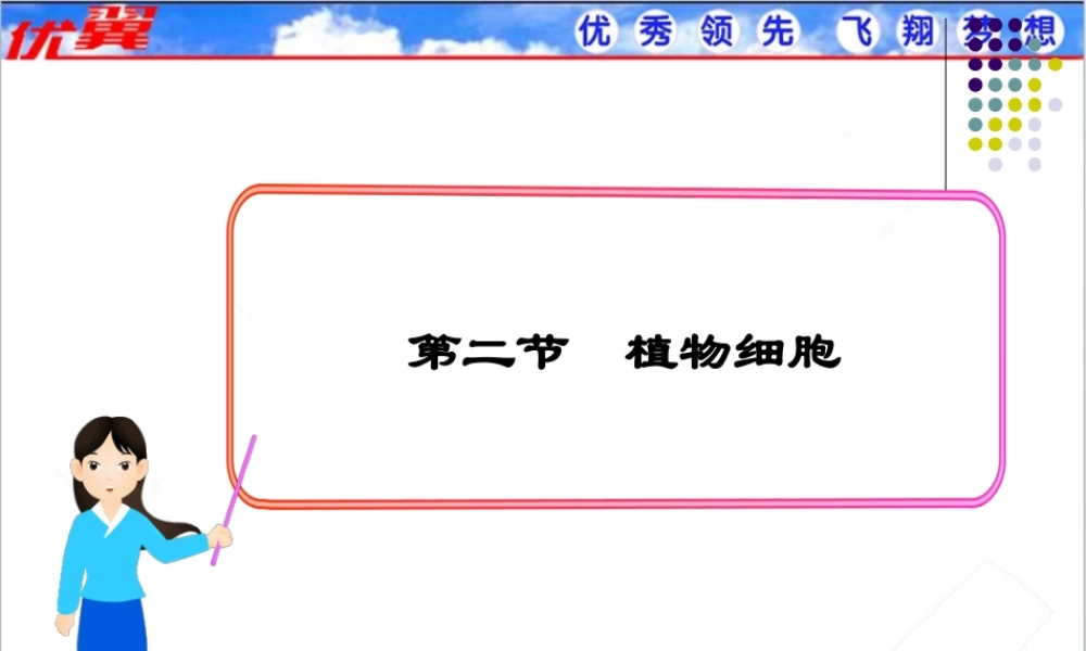 第二节植物细胞.ppt