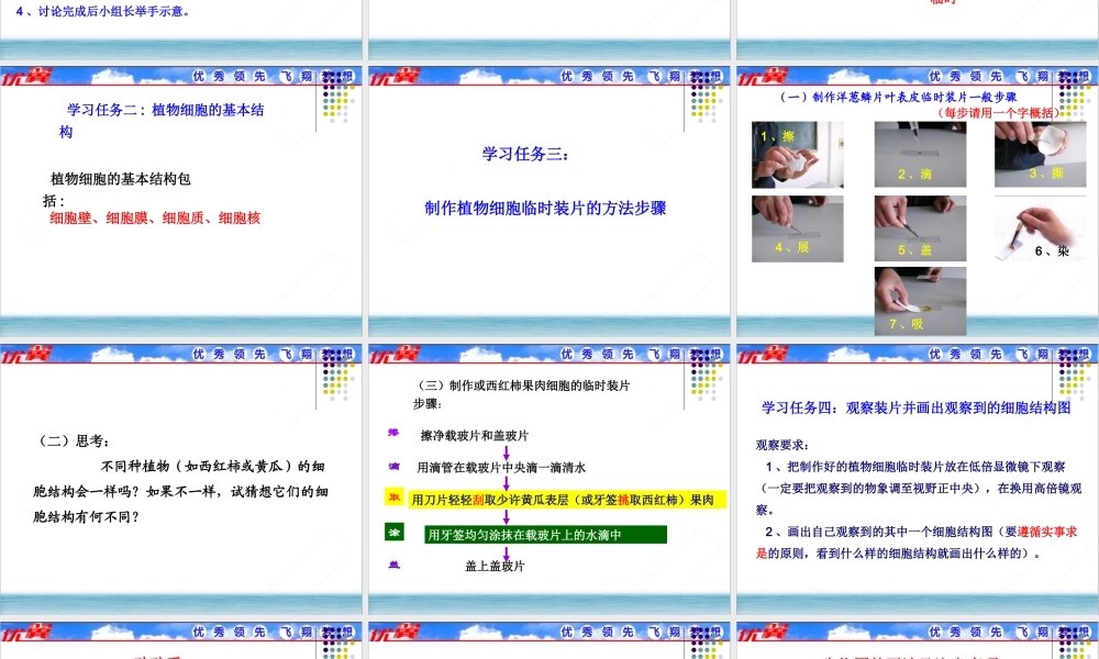 第二节植物细胞.ppt