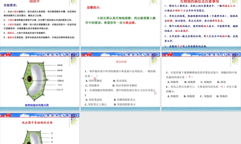 第二节植物细胞.ppt