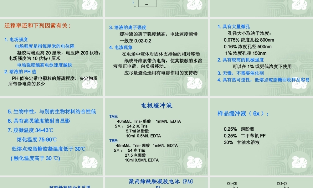 电泳技术[公众微信号：bioworlde].ppt