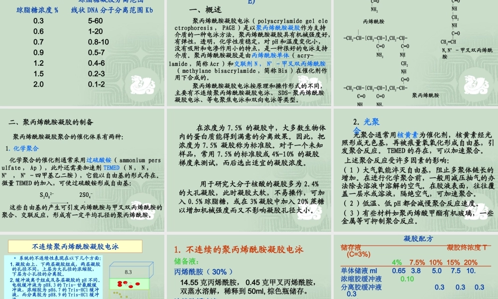 电泳技术[公众微信号：bioworlde].ppt