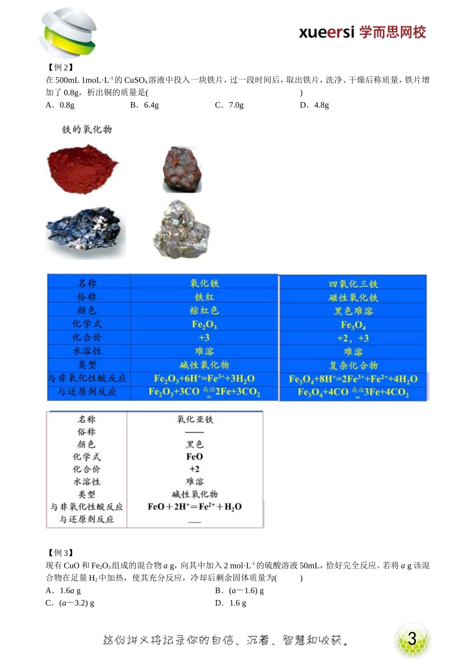 第13讲铁和铁的化合物.doc_第3页