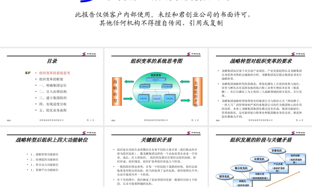 和君创业 - 龙蟒集团组织变革思路.ppt
