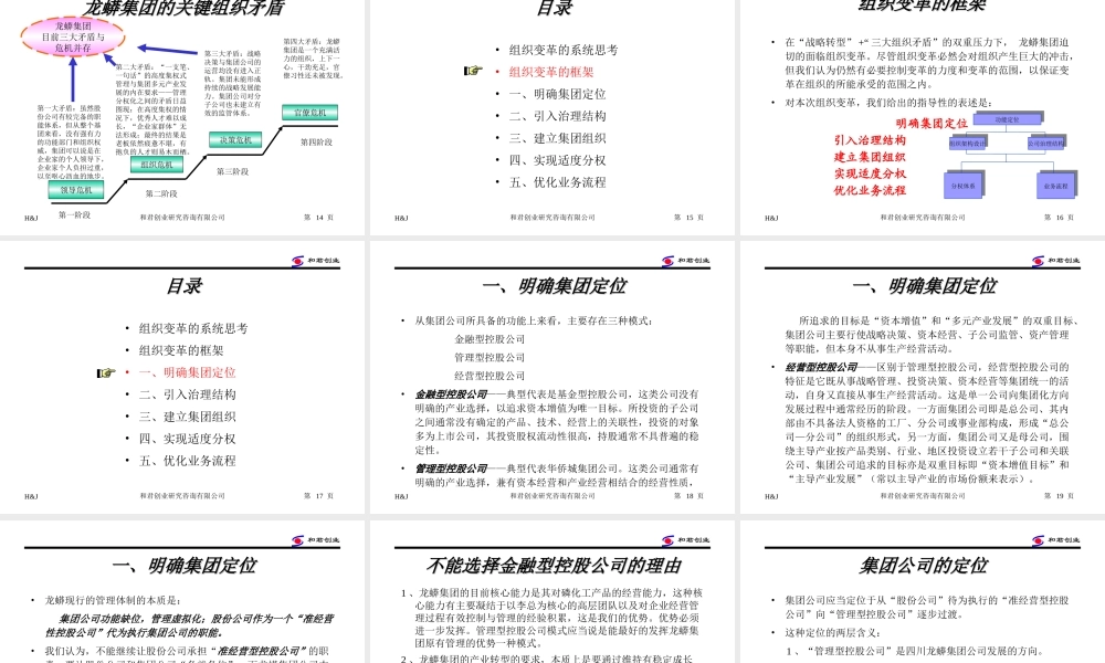 和君创业 - 龙蟒集团组织变革思路.ppt