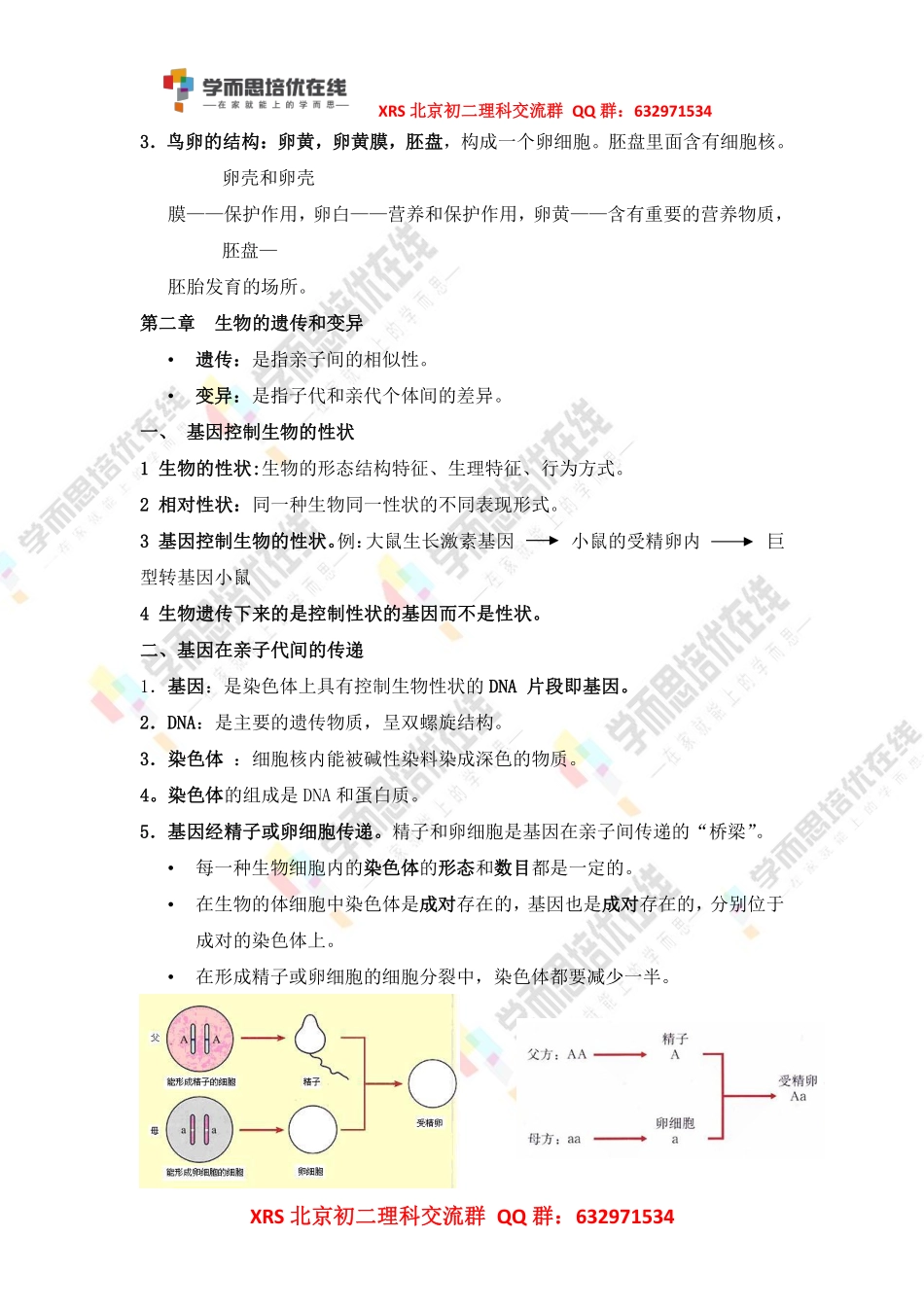 【答案】生物八年级下册知识点(1).pdf_第2页