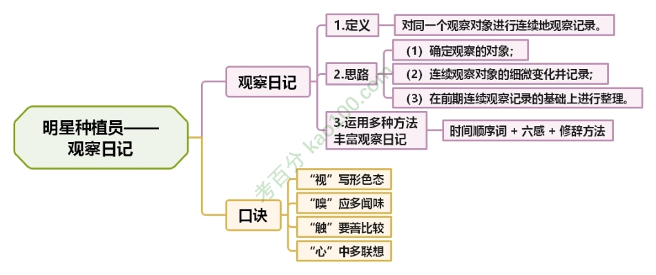 第5课思维导图.pdf_第1页