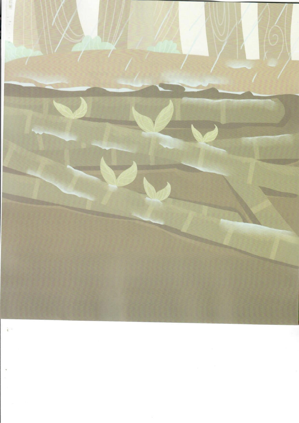 春6-多变的竹子.pdf_第3页