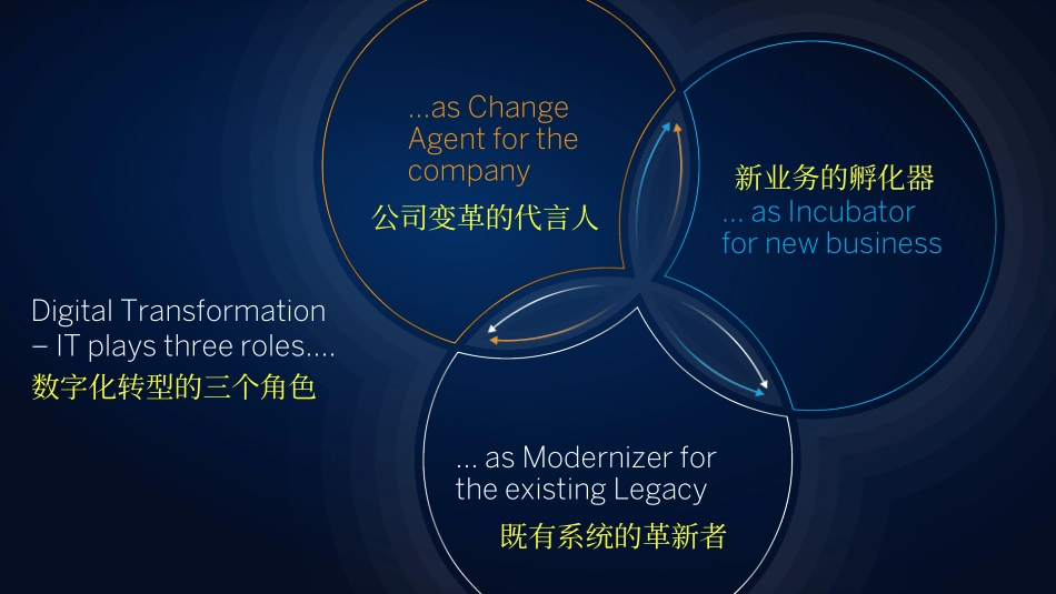 SAP 数字化转型介绍.pdf_第2页