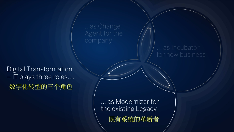 SAP 数字化转型介绍.pdf_第3页