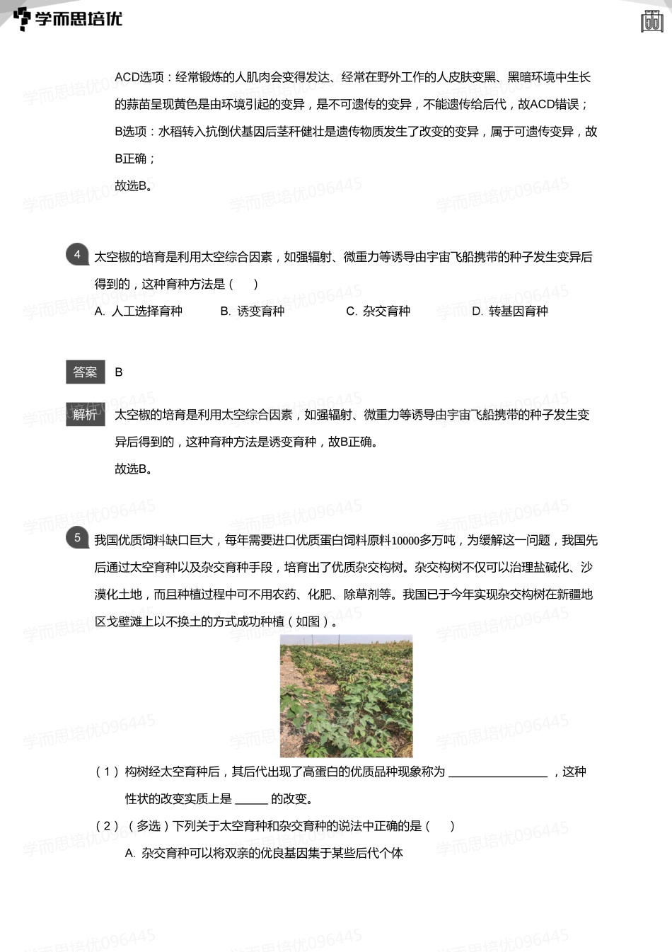 第十一讲(教师版).pdf_第2页