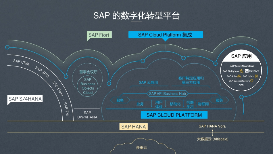 SAP企业信息管理解决方案助力企业数字化转型.pdf_第3页