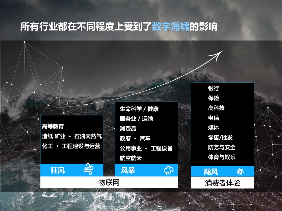 SAP电信行业数字化转型案例分享.pdf_第2页