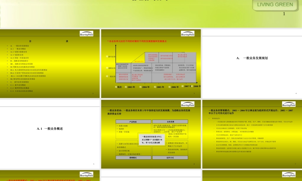 毕博-——某品牌有限公司战略业务规划.ppt