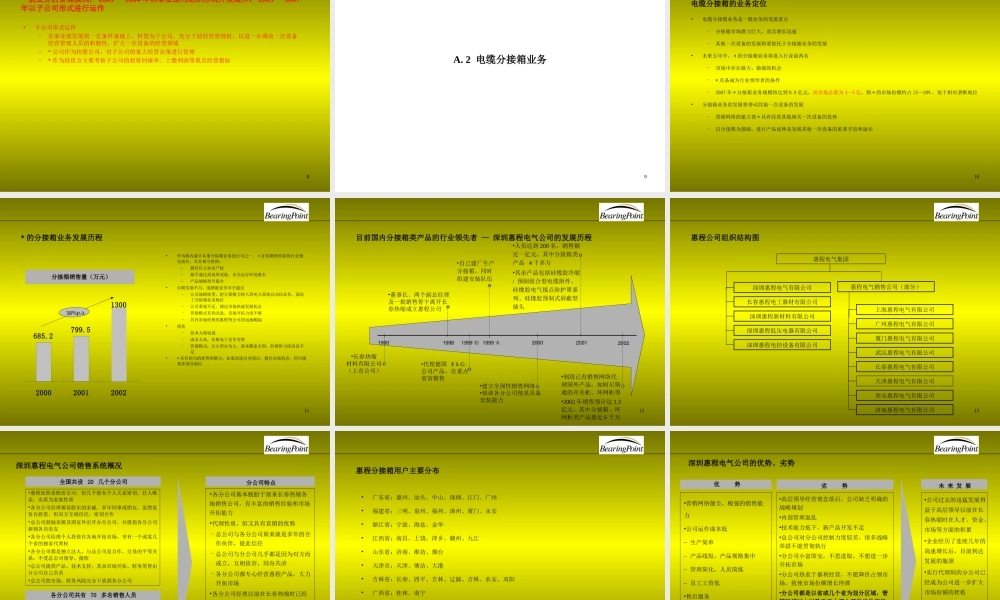 毕博-——某品牌有限公司战略业务规划.ppt